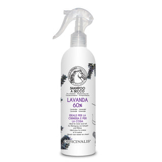 Shampoo Secco Lavanda