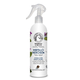 Shampoo Secco Mirtillo Nero