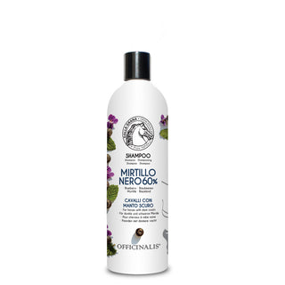 Shampoo Mirtillo Nero